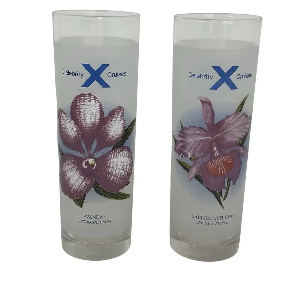 2 Celebrity Cruises Tall Collins Glasses Bon Voyage With Drink Recipes
